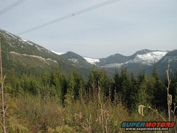 Mountainous landscape with evergreen trees and snow-capped peaks.