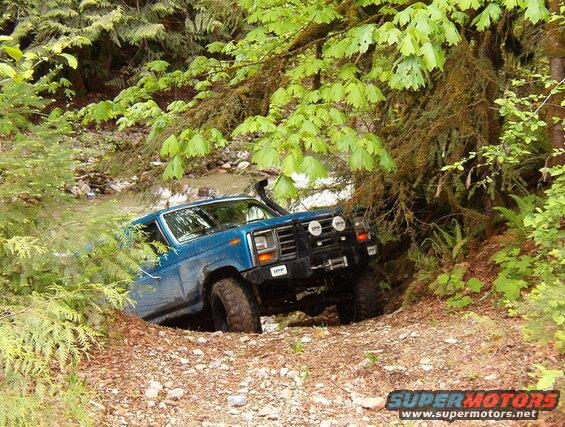 Blue Ford Bronco off-roading on a wooded trail next to a stream.