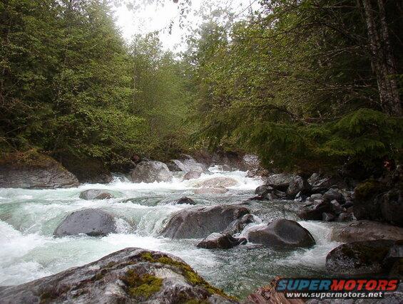 A river flowing over rocks through a forest.