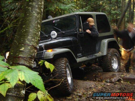 Black Jeep Wrangler off-roading on a muddy trail next to a tree.