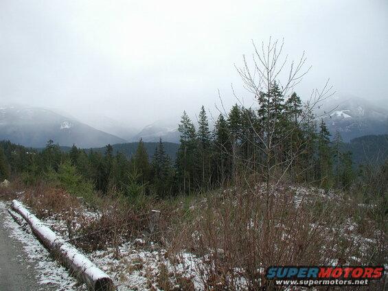 Misty mountain forest with a snowy path and fallen log.