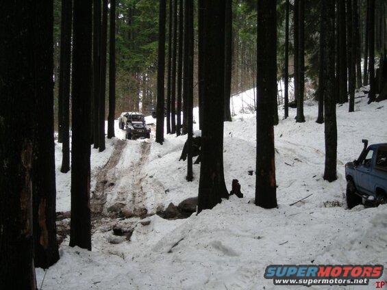 Blue Ford Bronco parked on a snowy forest road.