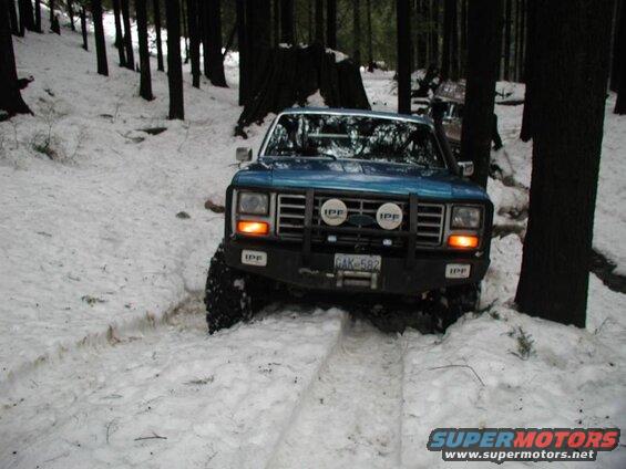 Blue 1980s Ford Bronco with IPF lights in a snowy forest.