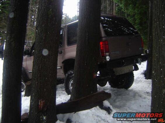 Brown SUV in a snowy forest, rear view, partially hidden by trees.