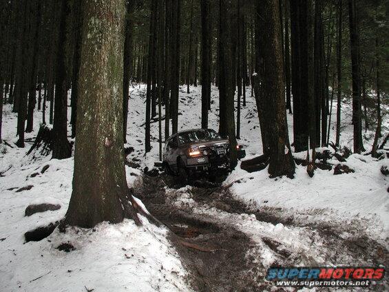 Dark SUV driving through muddy snow in a forest.