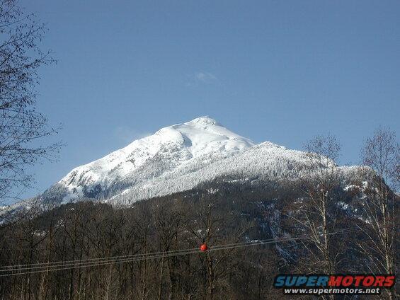 Snow-covered mountain peak above a forest with a red marker on a wire in the foreground.