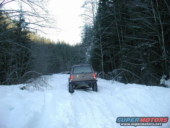 Tan SUV on a snowy road in a forest.