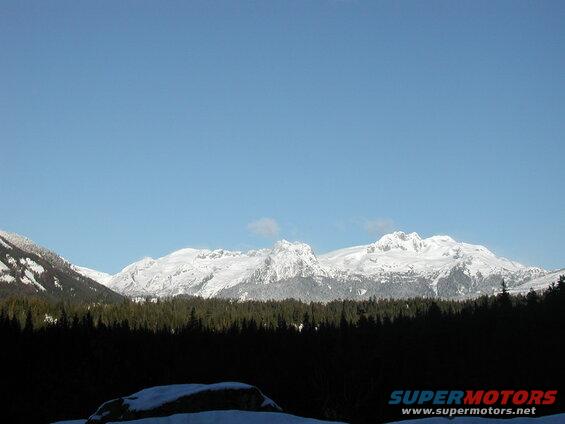 Snow-covered mountains and a dark forest under a clear blue sky.