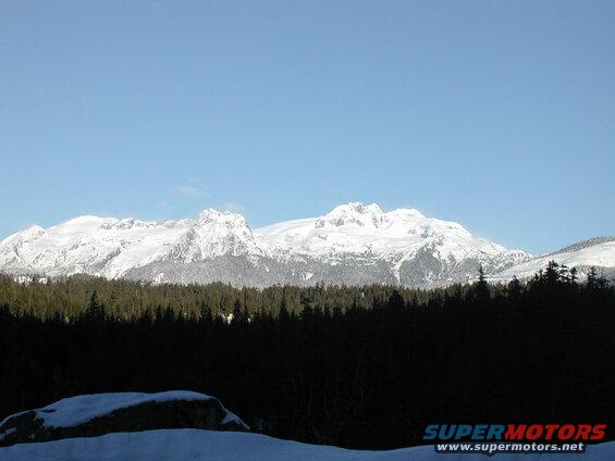 Snow-covered mountains behind a dark silhouette of pine trees.