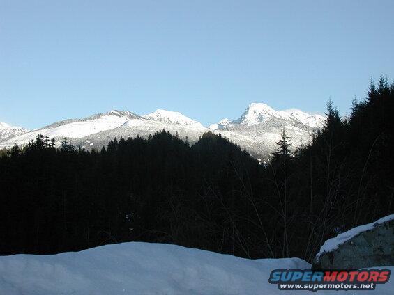 Snow-covered mountains behind a dark forest.