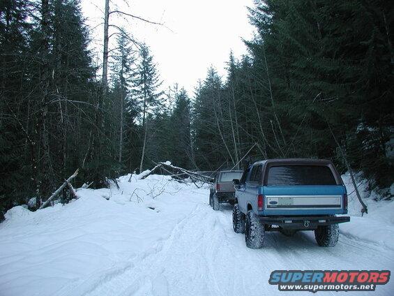 We were pushing our luck, and running into this downed tree was a good time to turn around.