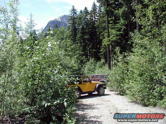 Two Jeep Wranglers on a forest road with a mountain in the background.