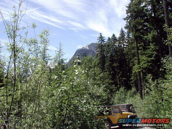 Yellow Jeep Wrangler parked on dirt road with forest and mountain backdrop.