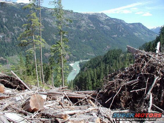 Nothing but recent logging up here, but again, the view of the Elaho River was worth it.