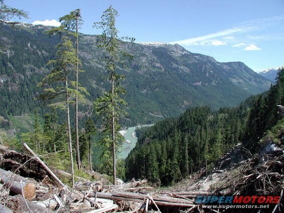 Mountain valley with river and fallen trees in foreground