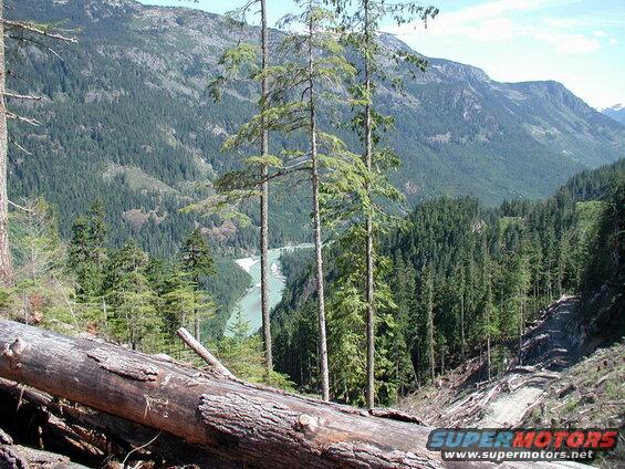 Mountainous forested landscape with a river and fallen log.