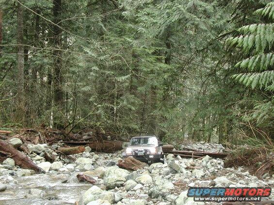 Indir coming up the creek bed.
