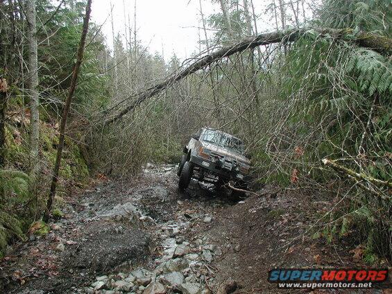 1985 Ford Bronco off-roading on a muddy, rocky trail under a fallen tree.