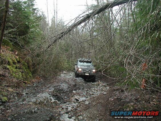 Tan SUV driving on a rough forest trail with fallen branches overhead.