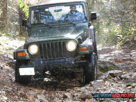 Green Jeep Wrangler driving on a rocky, wooded trail.