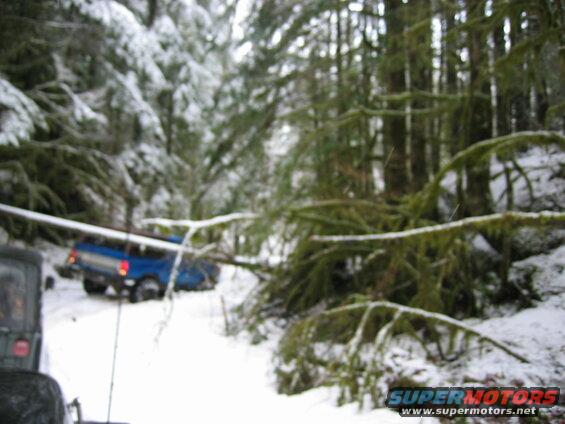 A blue Ford Bronco stuck in the snow on a wooded trail.