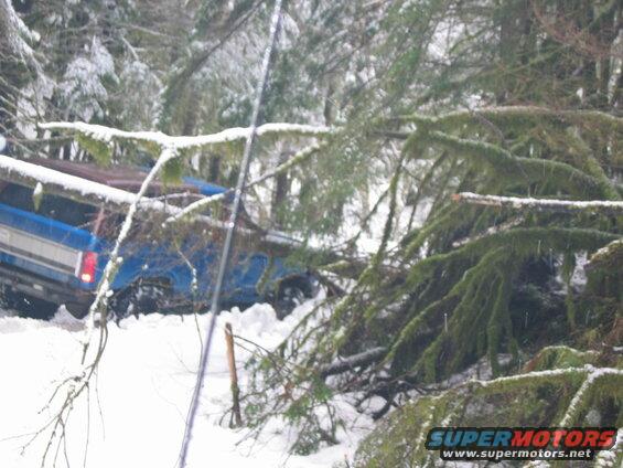 Blue Ford Bronco in a snowy forest, partially covered by tree branches.