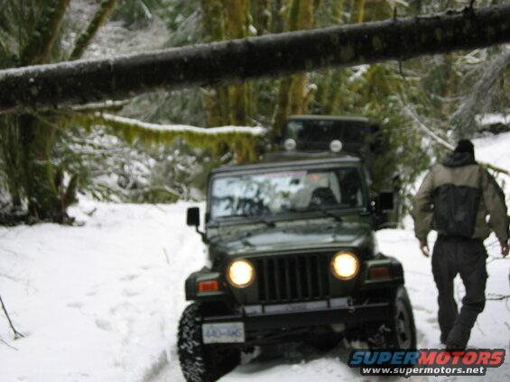 Green Jeep Wrangler in a snowy forest with a fallen tree.