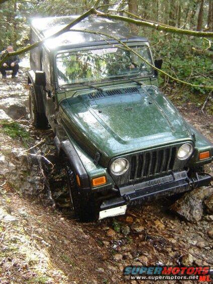 Green Jeep Wrangler driving on a rocky, wooded trail.