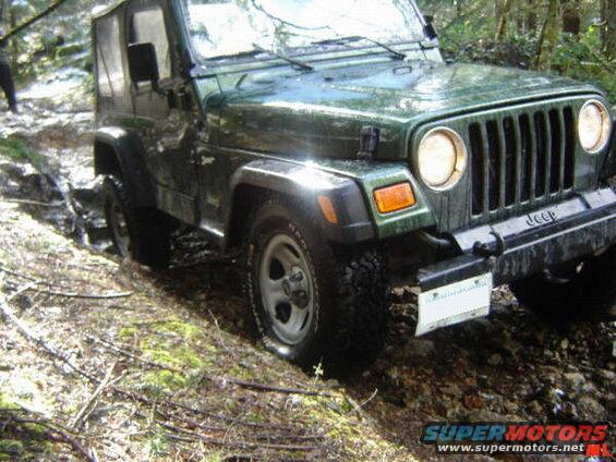 Green Jeep Wrangler on a muddy trail.