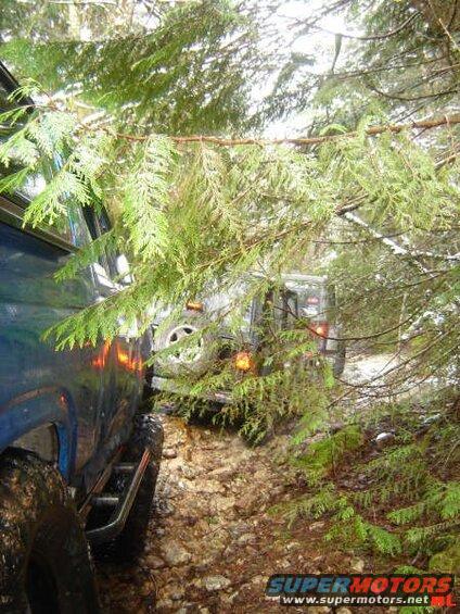 Blue SUV on a rocky, wooded trail with branches overhead.