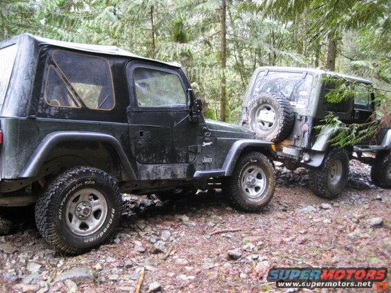 Two dark Jeep Wranglers on a forest path.