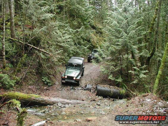 Two green Jeep Wranglers on a muddy forest road with a culvert and fallen tree.