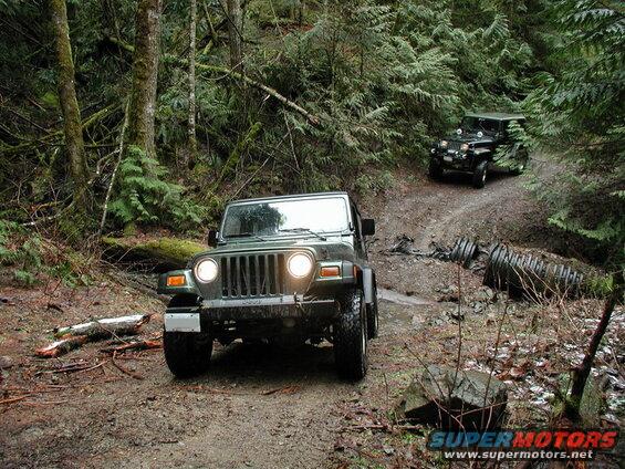 Two Jeeps on a muddy forest trail, one green in the foreground, one black behind.