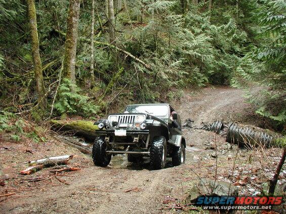 Jeep Wrangler driving through a muddy forest trail over a stream.