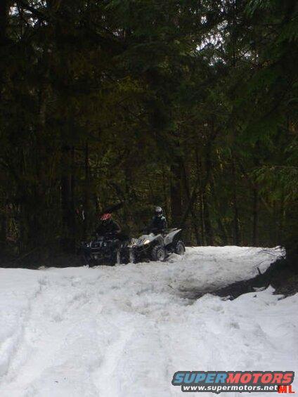 Two ATVs riding on a snowy forest trail.