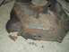 1978 Ford F-250 - cracked bellhousing, some one tried to JB weld it together! LOL