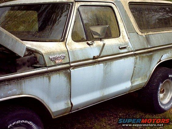 needs a good bath been sitting under a tree