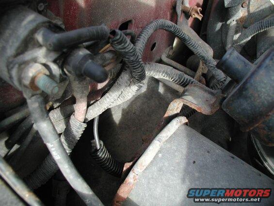 Auxillary fuse panel wire going to the hot side of the starter solenoid.