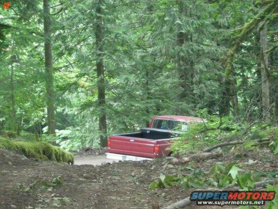 Red Ford F-250 pickup truck on a forest dirt road, rear view.