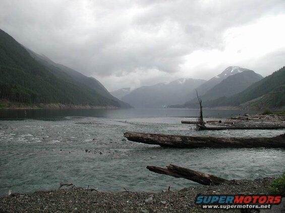 Lake and mountains on a cloudy day with logs in the water