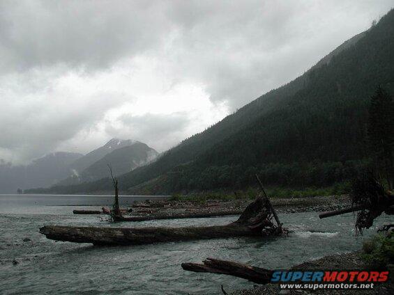Lake and mountains on a cloudy day with logs in the water.