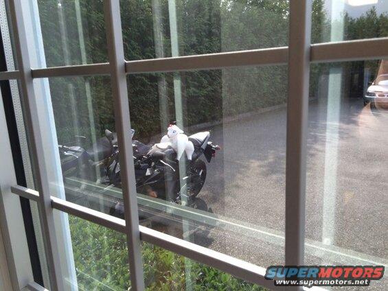 White plush toy on a black motorcycle seat, viewed through a window.