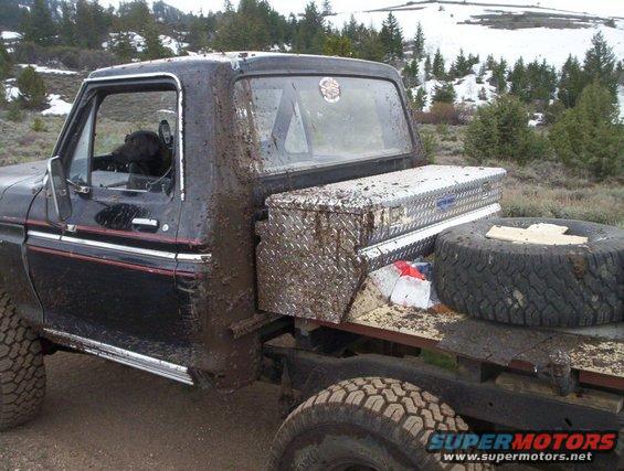 muddy black pickup truck with a dog in the driver's seat, toolbox on the side, spare tire in the bed, snowy hills in background