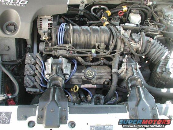Put the oil cap and extension back in place.