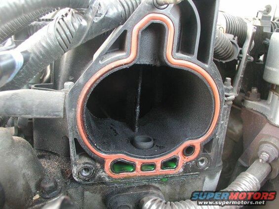 Admire how dirty the intake manifold is.