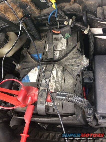 Battery was dead one morning, so had to put it on the charger. It did charge up, but wouldn't hold a charge (would loose about 1 volt in 8-12 hours).