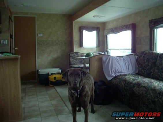 Interior of a trailer with a dog standing in the foreground