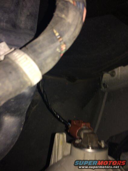 Red electrical connector with black wiring and a black hose with a white clamp.