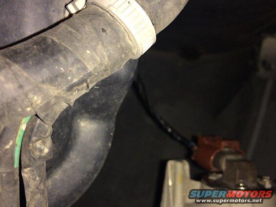 Black rubber hose with white clamp and red electrical connector