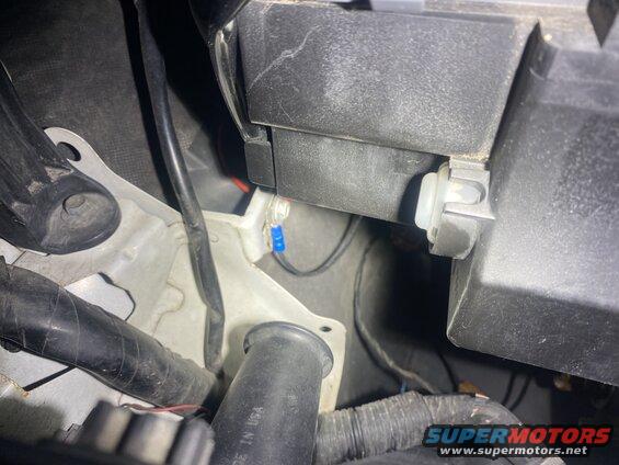 Close-up of vehicle wiring with blue connector and black plastic component.